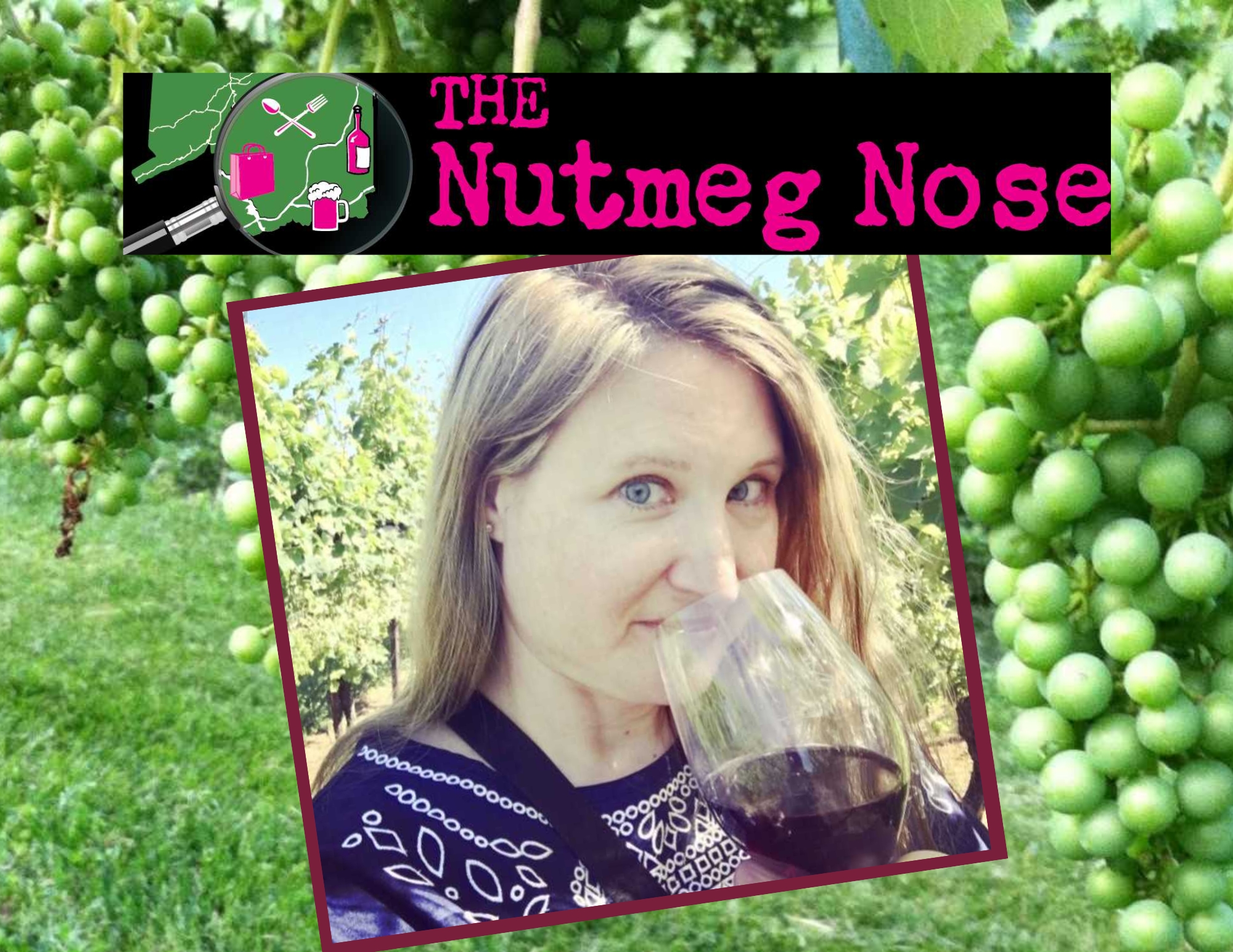 connecticut-wineries-with-the-nutmeg-nose-bristol-public-library