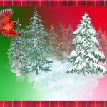 Snow-covered pine trees with a red cardinal on a green and red background with a plaid border.