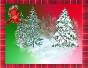 Snow-covered pine trees with a red cardinal on a green and red background with a plaid border.