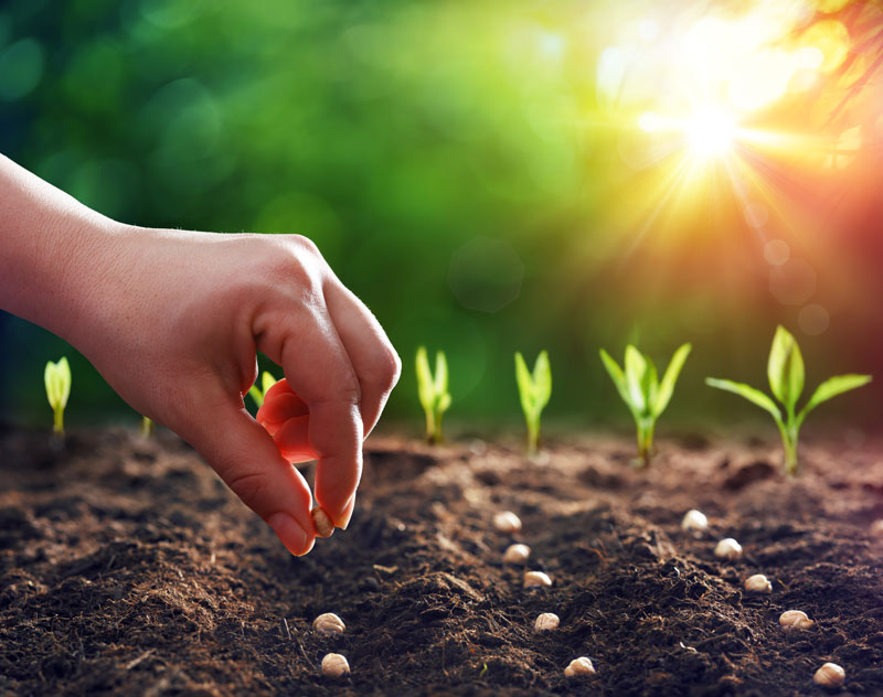 Photo of event - Seed Library Officially Opens for the Season on March 10