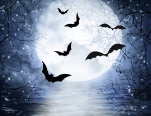 A full moon on a pond with five bats.