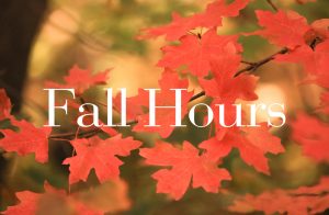 Fall and Early Winter Hours - Thumbnail