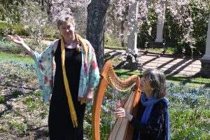 Banner - Irish Coffee House: Fairy Legends and Irish Harp w/ Diane Edgecomb