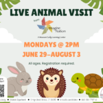 Green leaves at sides of orange and black text with a rabbit, hedgehog, and turtle at bottom.