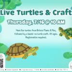 Flyer with pond and lilypad background and two turtles swimming.