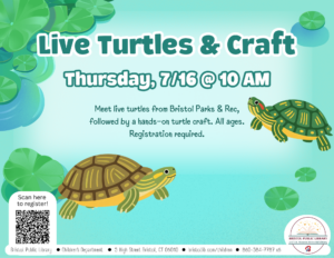 Live Turtles and Craft - Thumbnail