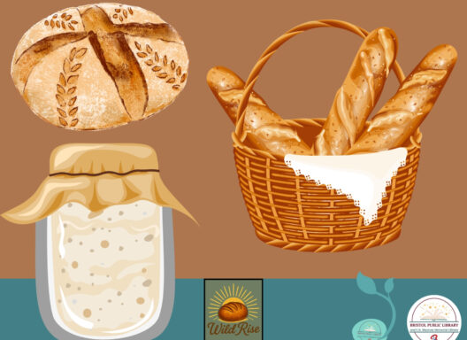 Graphic of a bread boule, three loaves, and sourdough starter.