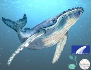 The Whalemobile - Thumbnail