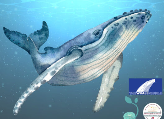A blue whale and the Whalemobile logo.