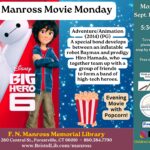 A flyer showing the movie cover of a boy and a big white robot, along with popcorn and a description.