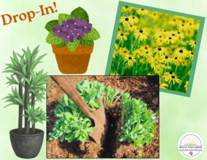 Fall Plant Swap - Thumbnail