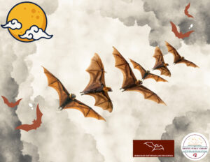 Bats for Kids - Thumbnail